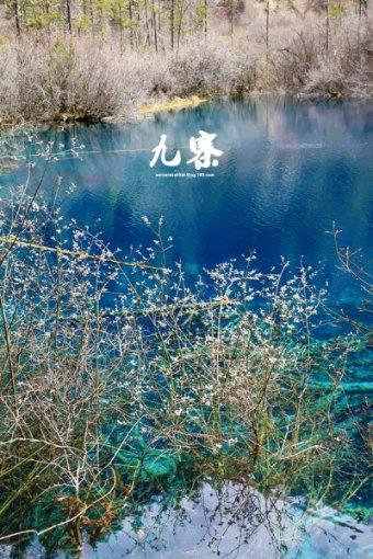 英雄之战中文版
