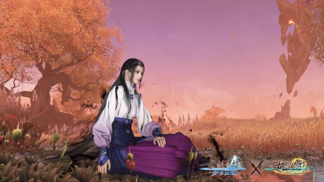 隔壁老王偷香记
