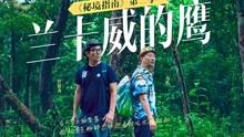 31省份去年居民人均可支配收入公布:京沪破8万,8省份超全国水平