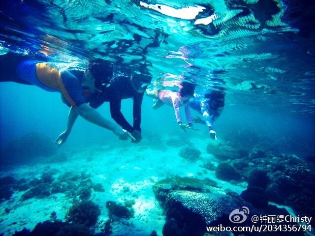 麦克托米奈快问快答:GOAT是梅西,最恐怖的人是伊布