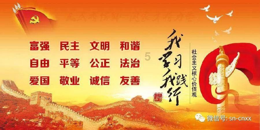 这11位“关系户”怎么就火不了?