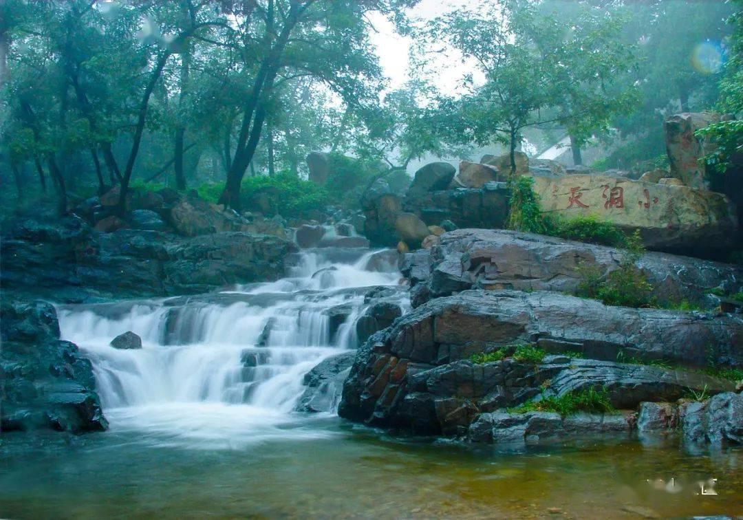拯救枯树