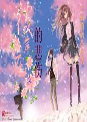 数字合算