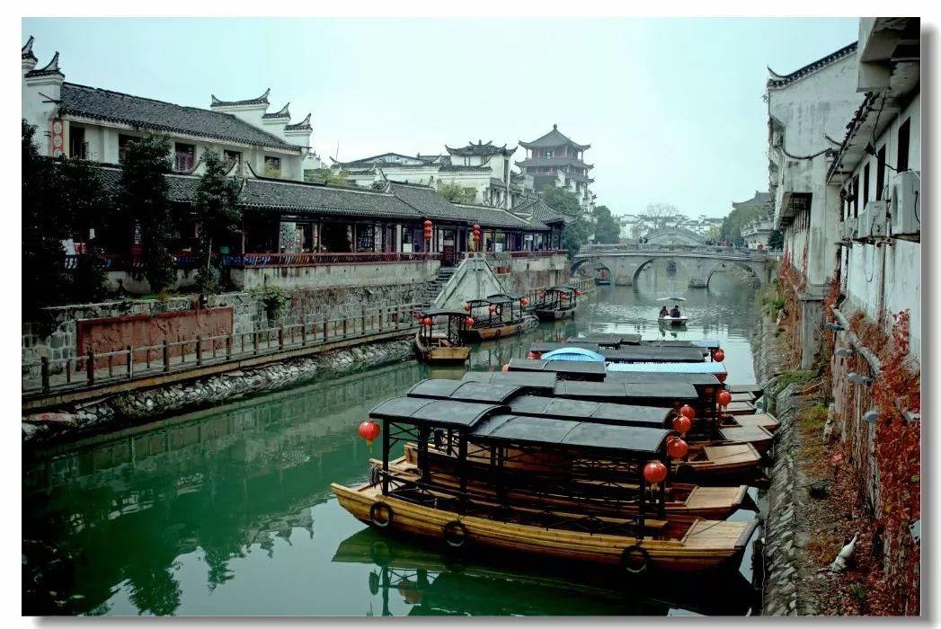 爱丽丝和闺蜜
